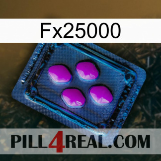 Fx25000 04